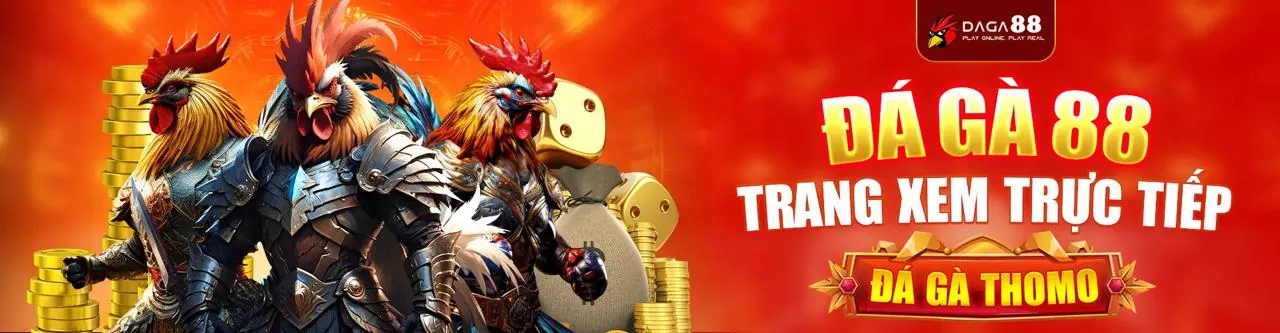 Đá Gà Trực Tuyến Momo88